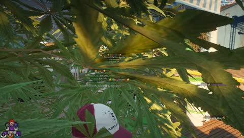 Thumbnail for this clip