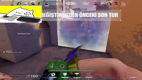 çat çat çat gaijin