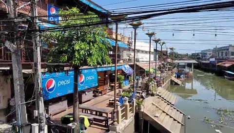 Waran beim Amphawa Floating Market Samut Songkram