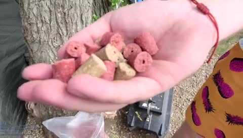 Psie granule 😂 kuťa pelety 😂