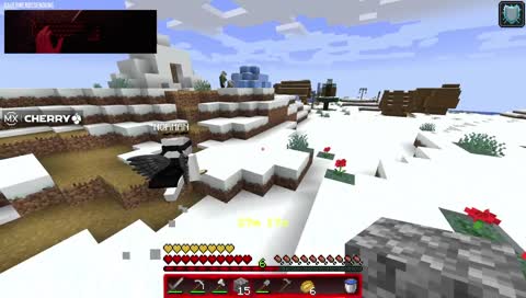 Wer hat den Raid ausgelöst? 