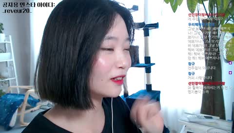 파닥 헤버