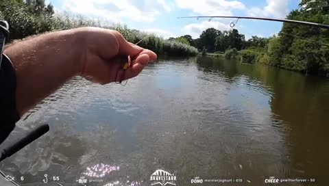 Topwater Barsch
