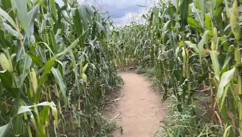 Stratený v bludisku XDDD