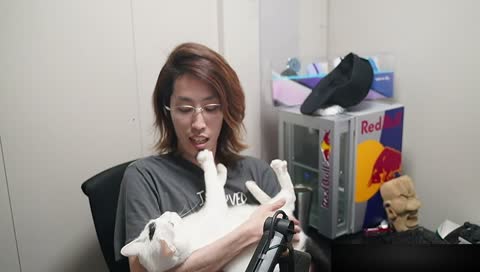 こころのノートを捨てた釈迦 - Twitch こころのノートを捨てた釈迦 - Twitch