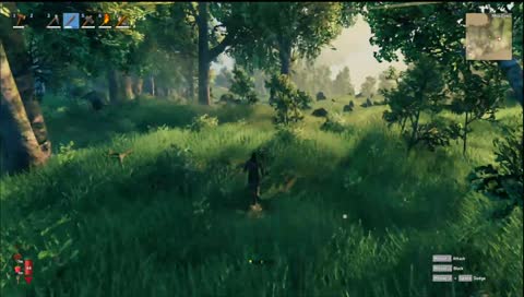 Face cam yes please Elden Ring gonna be even better with it