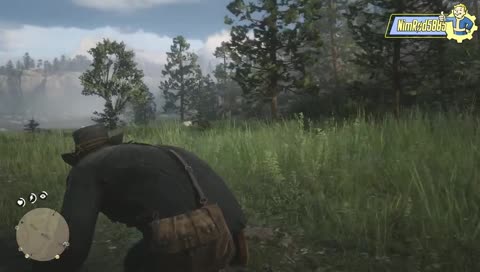 What the Bow was he thinkin?