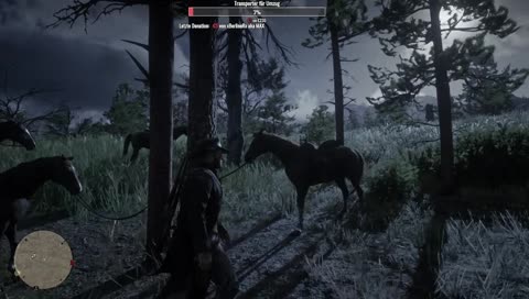 Pferde zähmen leicht gemacht