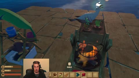 ÉJ Sirály hess-hess-hess!