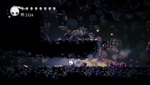 Herald collision box