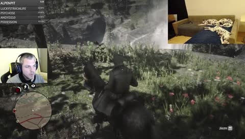 Antimate in RDR2