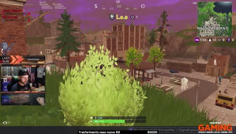 nel frattempo un cespuglio 