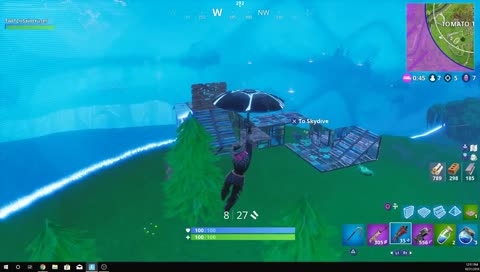 Tsm Myth, 11 health and a dream