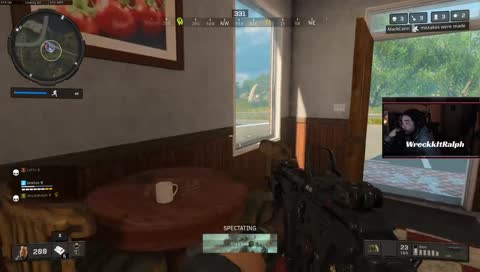 what's a gun?