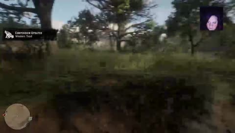 Somthings fishy about this fish