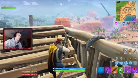 2 BIRDS...2 stones???