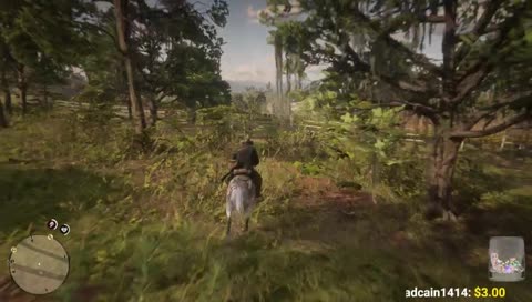 10/10 horsemanship
