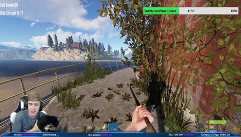 Training Mudgie the Attack Cat