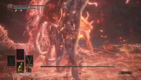 Koko wins, by the barest skin of his behind.