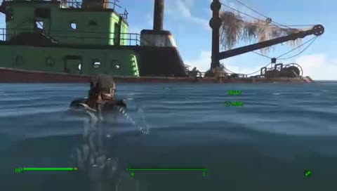 DOLPHIN MAN