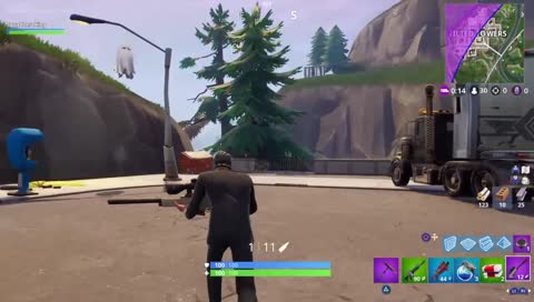 FortNite w/Companion