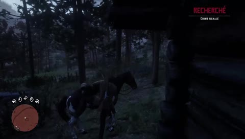 Meme sur un cheval, il se fail 