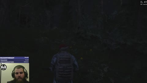 Nice Shot
