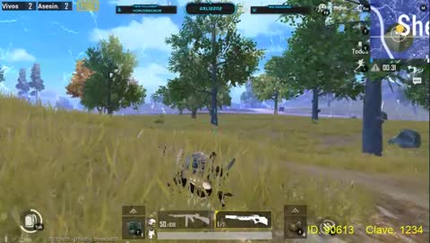 Una granada .. algo calculada jaja XD