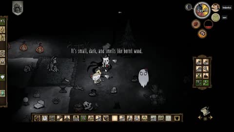 このカボチャ大丈夫じゃん