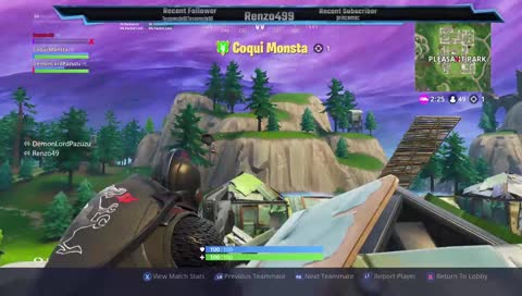 Froggy cleaning house