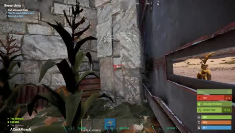 Bot????