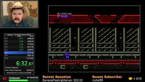 Batman: The Video Game