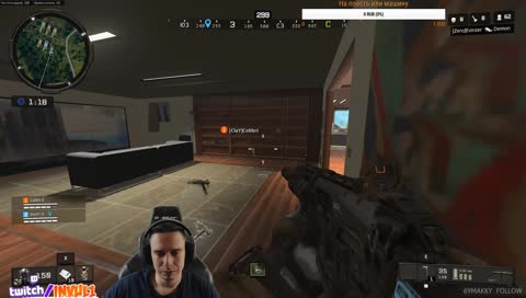 крысапёс играет в бокс