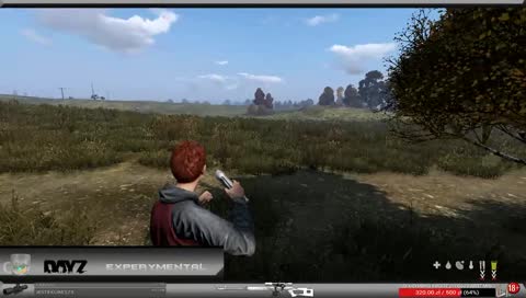 DayZ 0,63 bez bugów xD