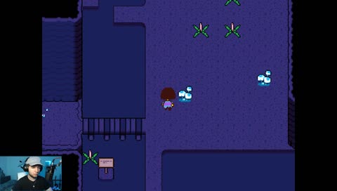 Veil Gets Trolled By The Game