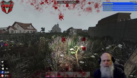 death by bear