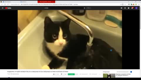 18+ контент