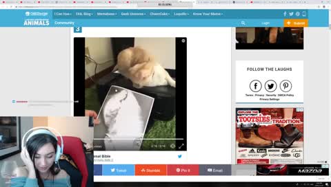 Accidental Kiss