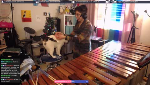 Muta wants to play too!