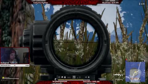 Wonderling Ninja Chicken Dinner