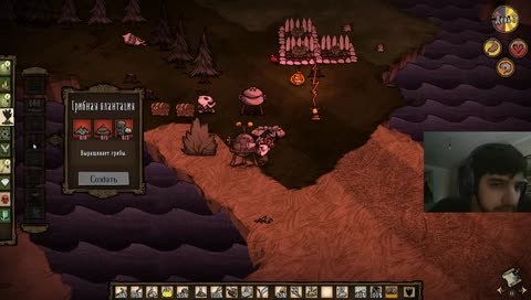 стукнули по голове