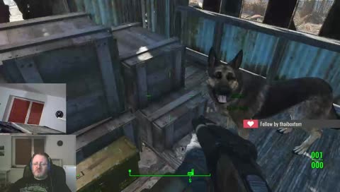Vertauen sie Ihren Hund niemals ihren Nachbarn