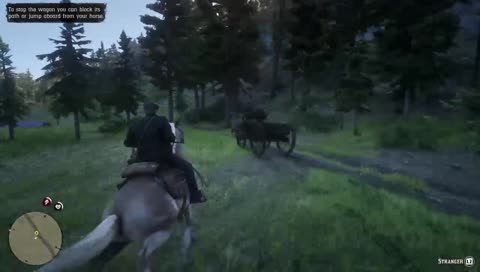 Watch out for that Tree!