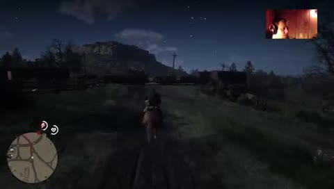 horse goes for a trip