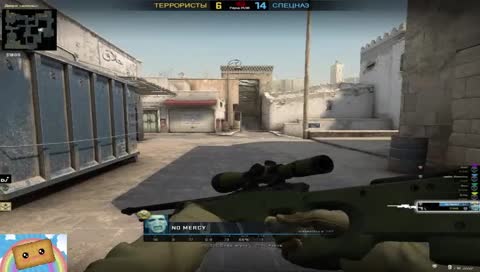 школьник из села благодарит полину и ловит пулю головой