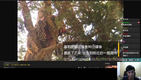 下面含到跳起來