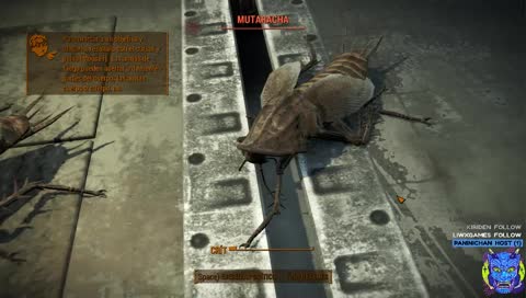 La cucaracha de Matrix