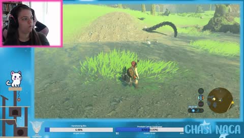 Queen Chasi of Hyrule