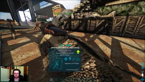 base jumping on ark :)