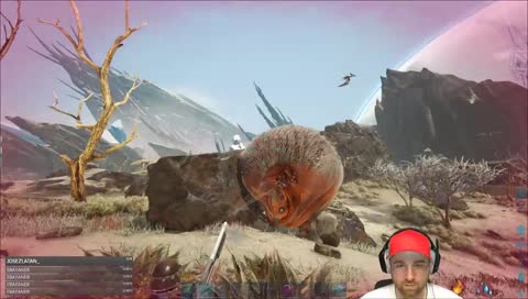 Jetzt ist er an einem besseren Ort